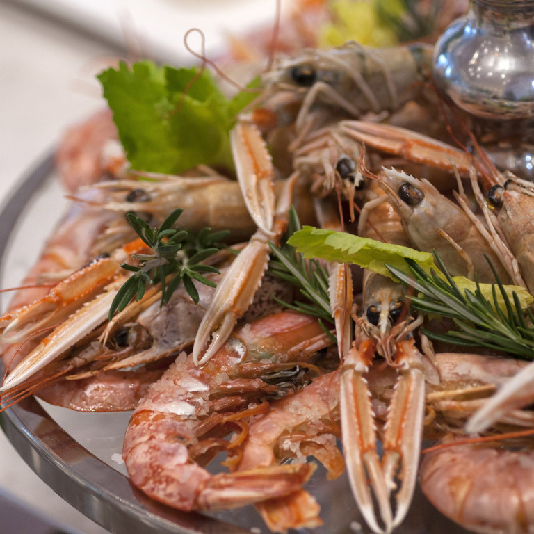 media.Slide_Ristorante_11Hotel_Sporting_Rimini