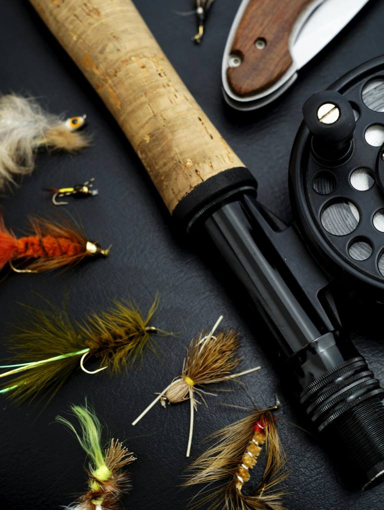 media.pescare show rimini hotel 4 stelle