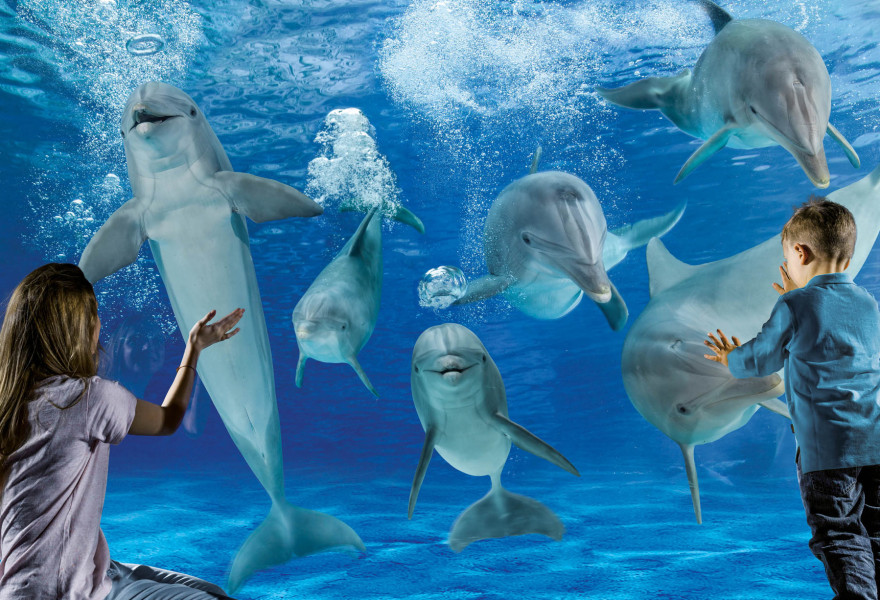 media.Slide_Oltremare_Hotel_Sporting_Rimini