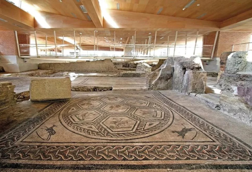 media.488378791_1223932746399689_3424034377537254888_n