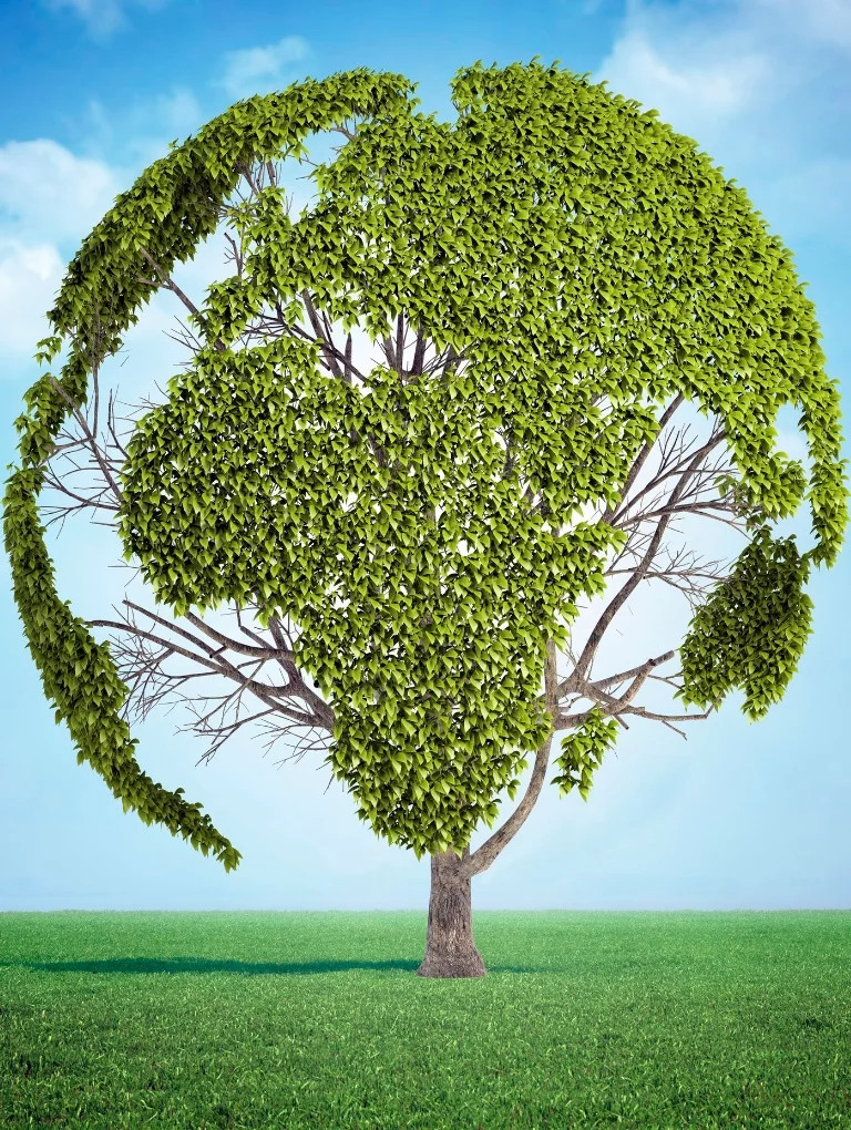 media.hotel-sporting-rimini-ecomondo-fiera-rimini